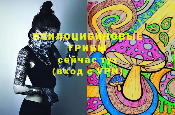 2c-b Богородск