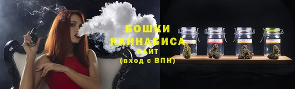 гашиш Богданович