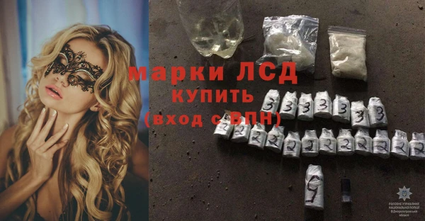 гашиш Богданович